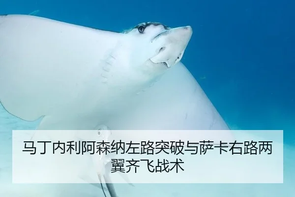 马丁内利阿森纳左路突破与萨卡右路两翼齐飞战术