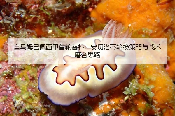 huang-ma-mu-ba-pei-xi-jia-shou-lun-ti-bu-an-qie-luo-di-lun-huan-ce-lve-yu-zhan-shu-mo-he-si-lu-3-858.jpg